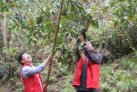 这是一条有温度的市民热线——8890便民服务热线运行三周年纪实