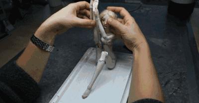 李晨送给范冰冰的200万娃娃，其实并不贵！