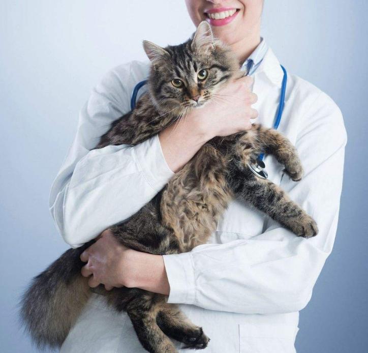 2022年最赚钱的10大不起眼的行业,农村不起眼的赚钱行业