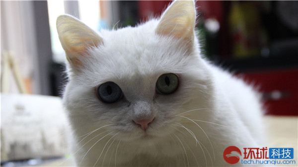 三星galaxys拍照评测,三星拍照vs苹果拍照