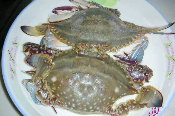 那些不认识的海鲜小干货,超级干货2022