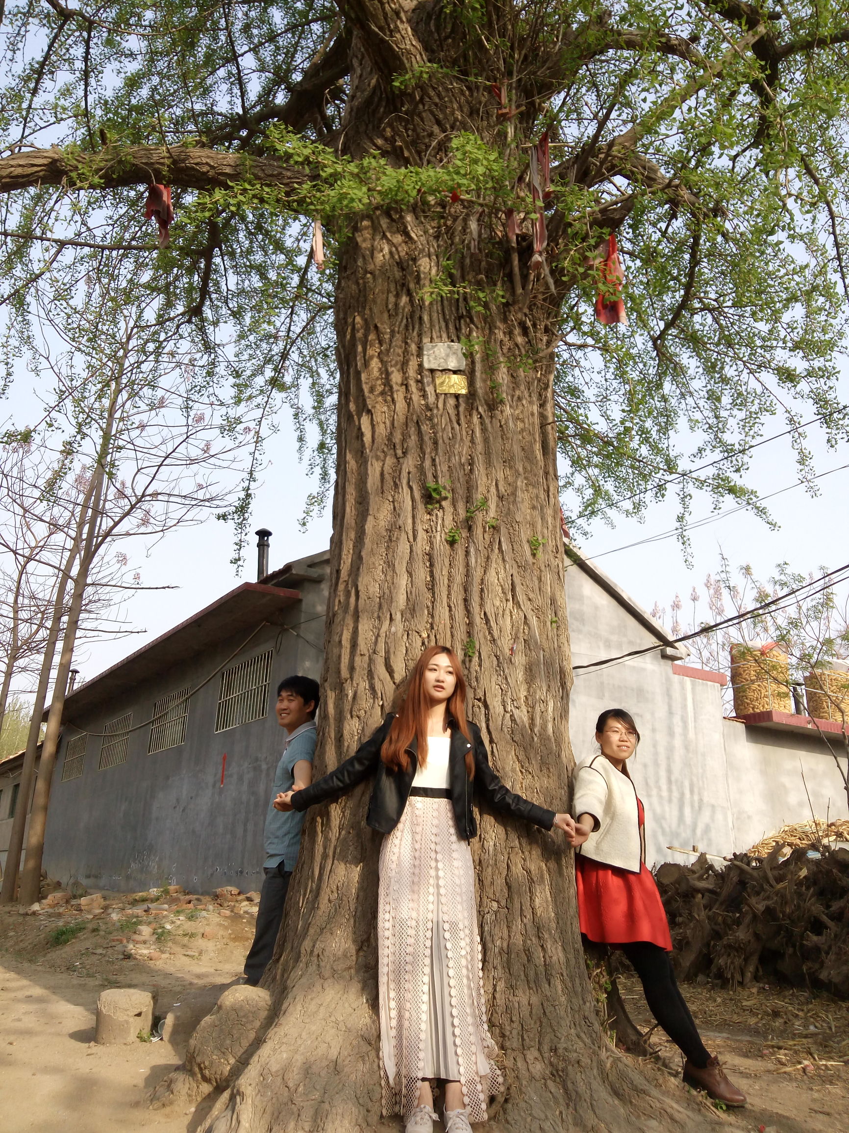 郑玄故里,灵秀小镇,峡山一颗靓丽的明珠。