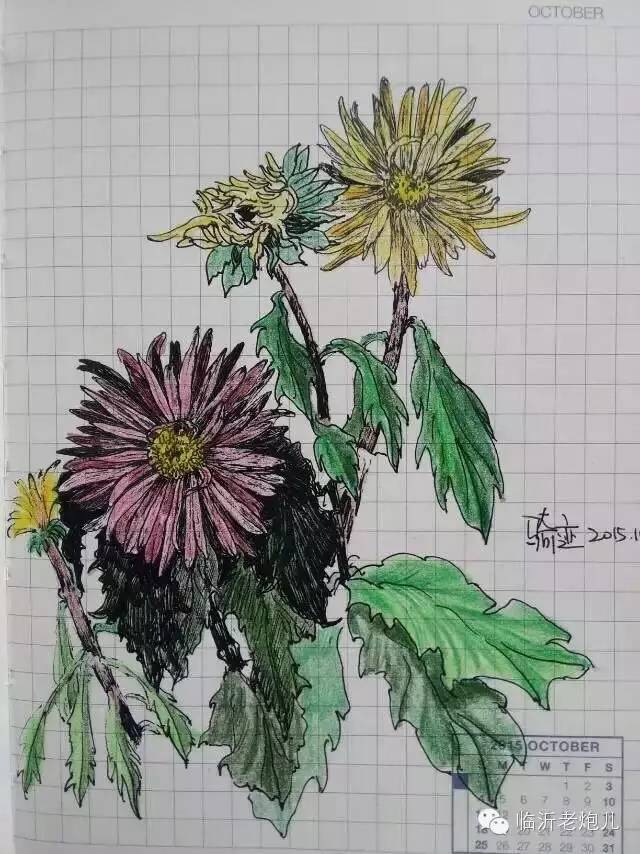 带着书本去旅行绘画,带着旅行箱去旅行绘画