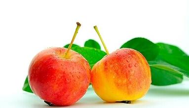 怀孕吃什么水果好胎儿皮肤白,孕妇吃什么水果对胎儿好低糖