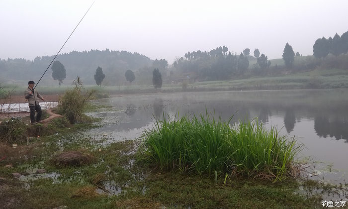 八一水库钓草鱼,八一水库钓青稍