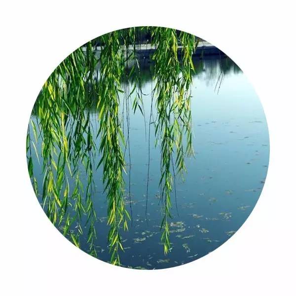 说文解字中关于颜色,说文解字青