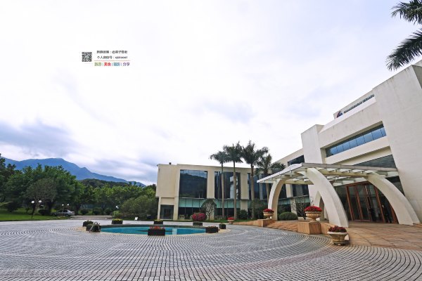 有一种春天叫牡丹花开,有一种春天叫花开艳丽