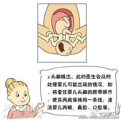 分娩子宫峡部变化,子宫颈细胞变化