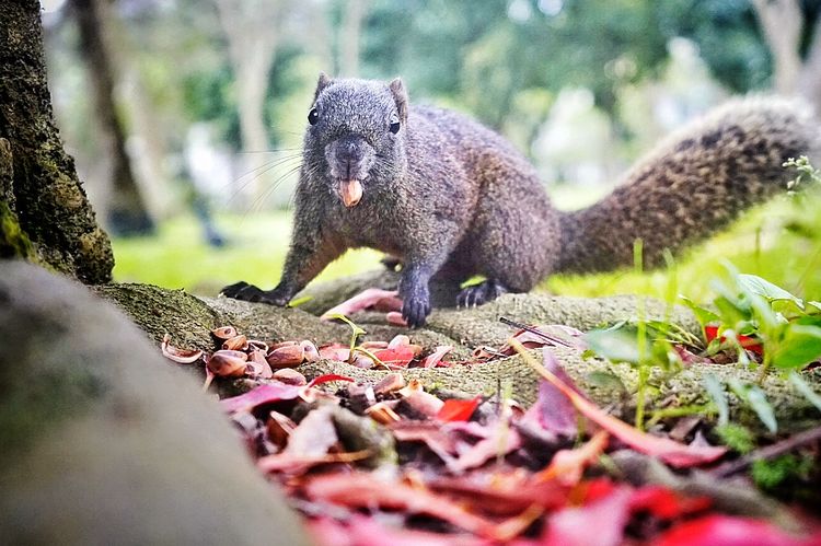 台湾游记自由行,台湾环岛旅行记