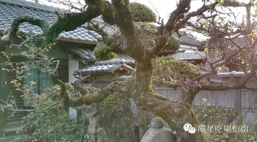 奈良鹰长菩提清酒,奈良时代的日本历史