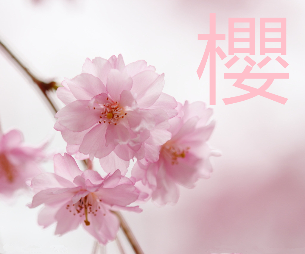 二十四节气之谷雨手抄报内容,二十四节气之谷雨古诗