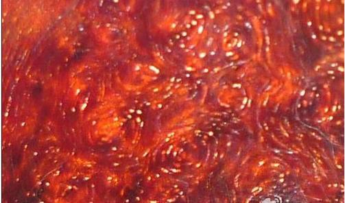 小叶紫檀各种纹路大全,小叶紫檀木的纹路有哪些