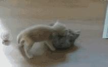 糖尿病人胃轻瘫食物消化慢怎么办,糖尿病胃轻瘫症状与胃癌的区别