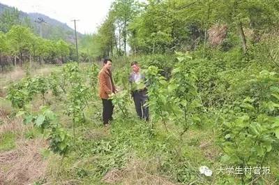 风采|听大学生村官讲述与村干部的那些故事