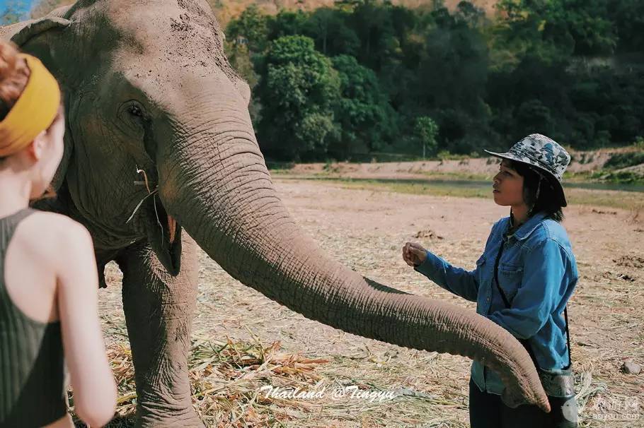旅游攻略泰国免费,攻略带你了解最美的泰国景点