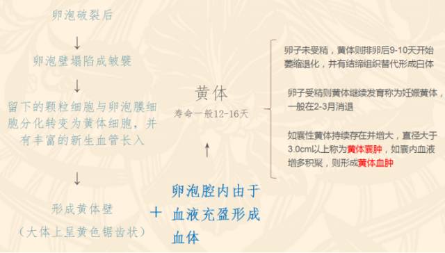 女性下腹疼痛是什么病,女性下腹疼痛的预兆