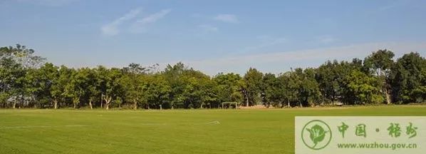 中国足协表彰全国青少年男子足球系列赛事先进单位和个人，梧州国家体训基地获优秀赛区奖