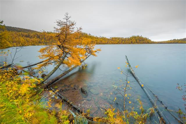 大兴安岭美丽风光,大兴安岭之美