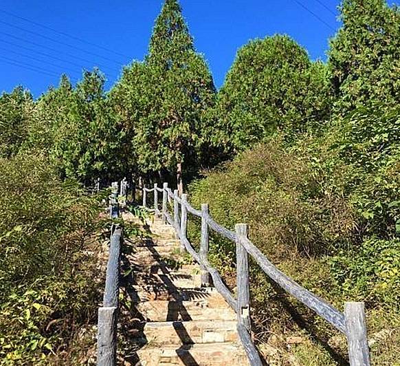 北京四个踏青必备的免费公园,北京小众湿地公园