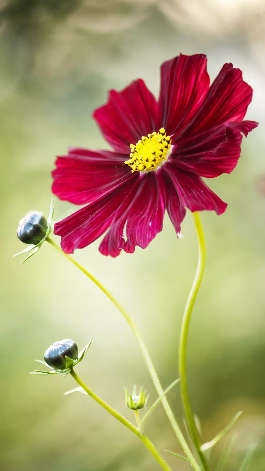 犀利超拽霸气签名句子,一句话签名简单干净