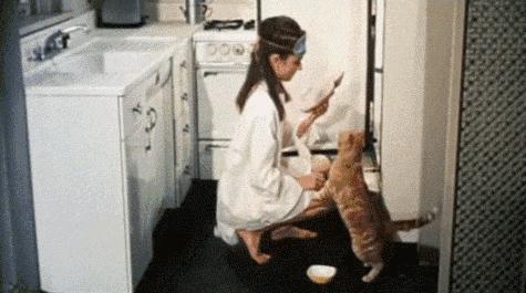 买不起的毛线球,8万7的tiffany毛线球