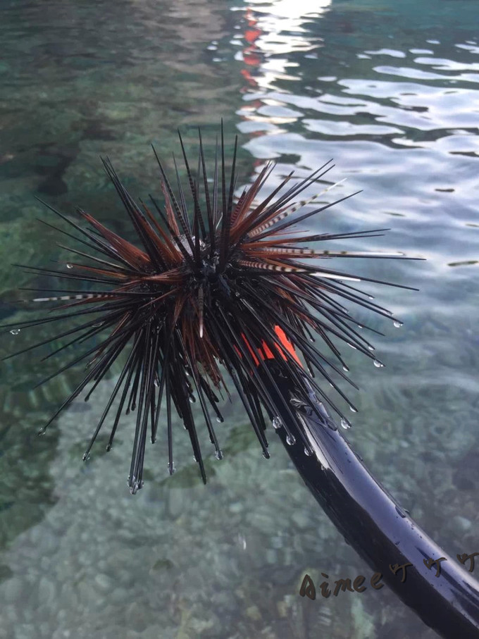 阳光沙滩与海边,阳光与沙滩结局