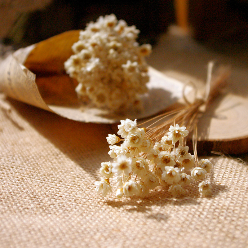 怎么把鲜花做成标本不会枯萎,透明树脂胶怎么制作鲜花标本