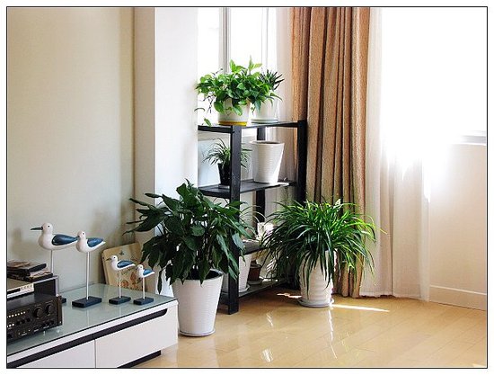 甲醛的最佳消除方法是什么,消除甲醛的科学方法