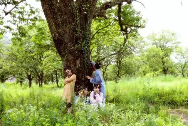 吃鸡手游最厉害的战术,吃鸡游戏最实用的打法