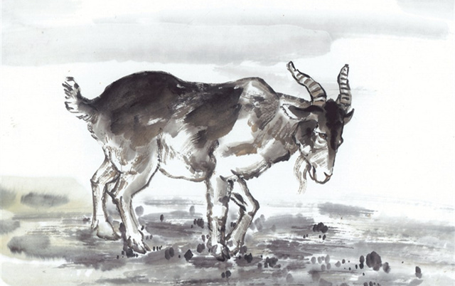 十二生肖哪个是趋吉避凶最灵敏的,12生肖如何化解破财衰运