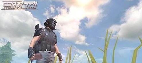 网易荒野行动严查外挂,荒野行动警方抓外挂