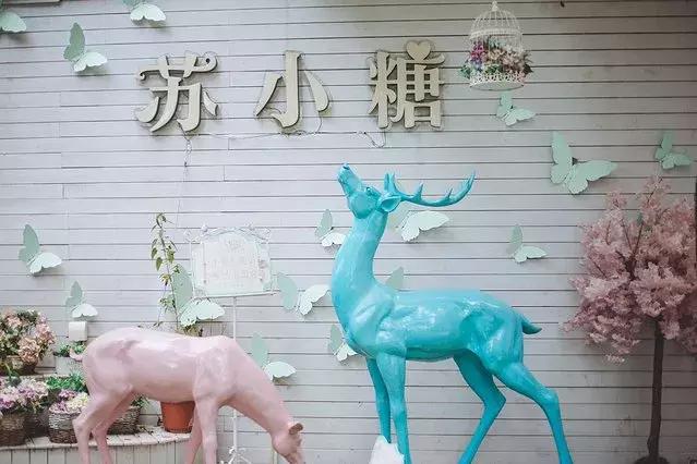 厦门旅游自由行攻略,厦门自由行旅游攻略