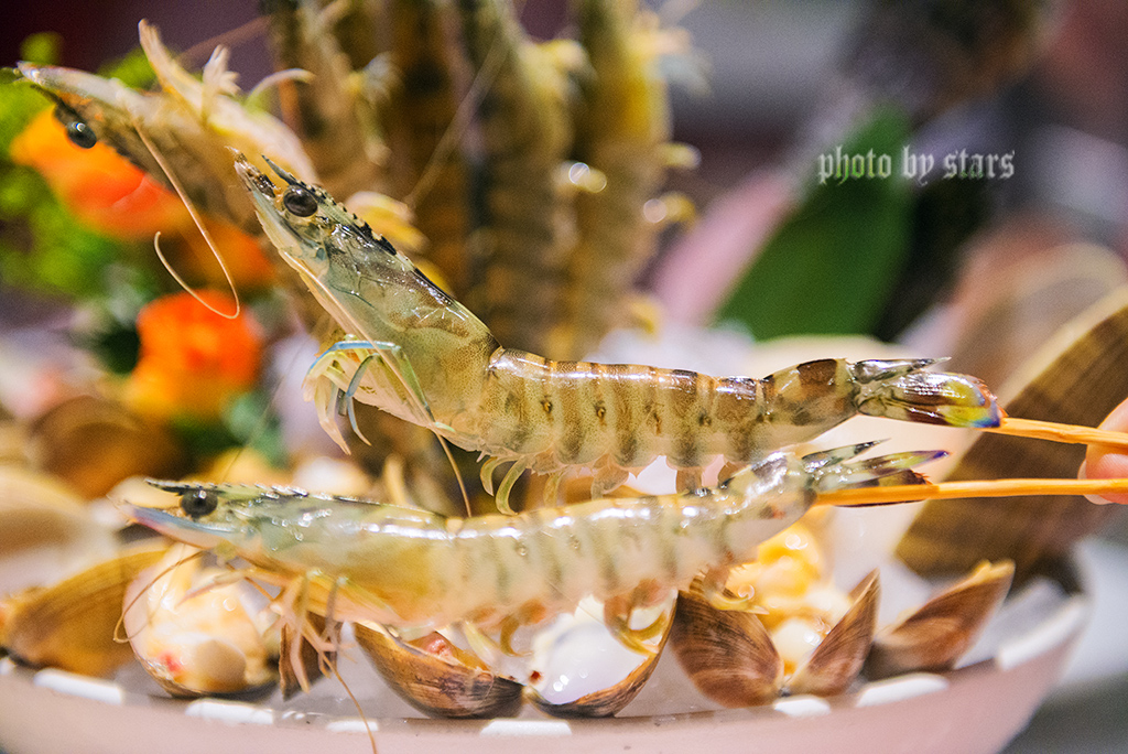 又一家暖爆上海冬天的网红黄金锅,让你穿越TVB