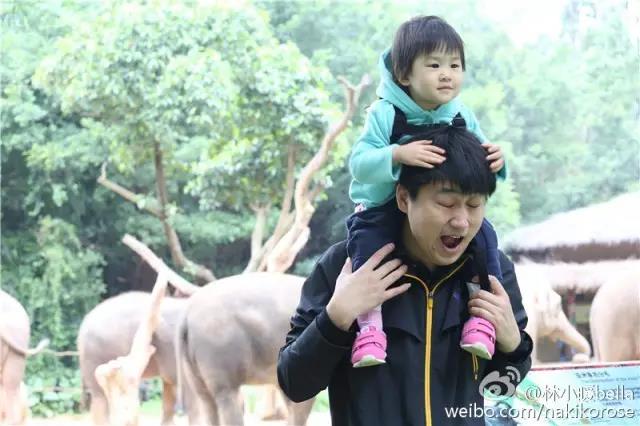 广州长隆亲子游最省钱攻略,广州长隆亲子游最全游玩攻略