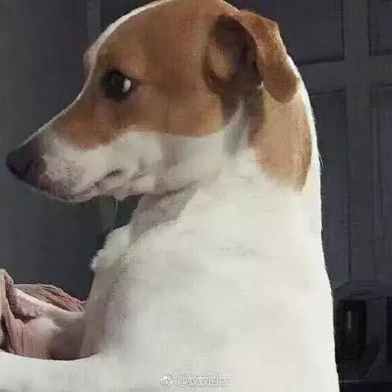 最后悔的时尚单品……那时候你爽了,现在你后悔了?!