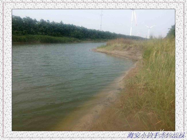 一年四季都可以钓的鱼种,一年四季可钓的鱼种