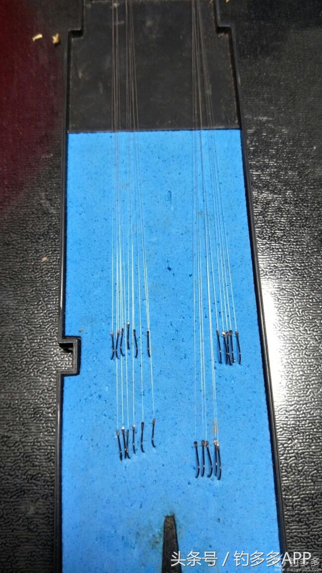 冬钓封竿,冬钓鲫鱼爆护