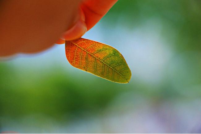 三亚市最美的景色拍摄,拍摄美丽三亚