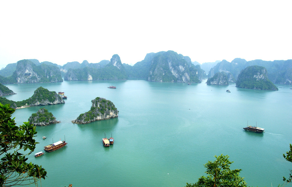 越南奇闻故事,越南趣事