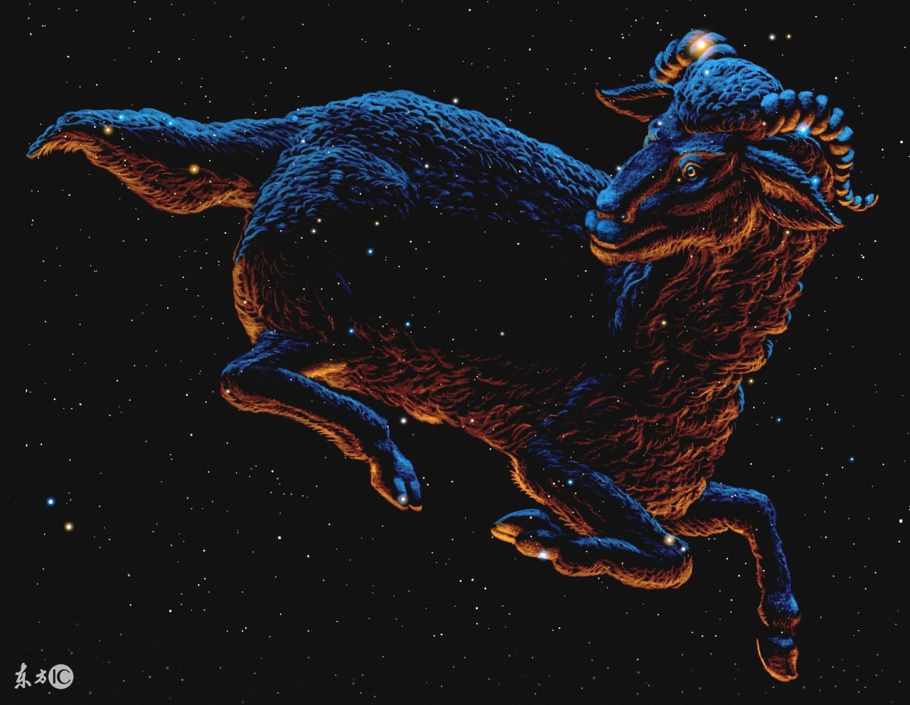 看星座宫位测试自己的性格,测试星座特点分析图解大全