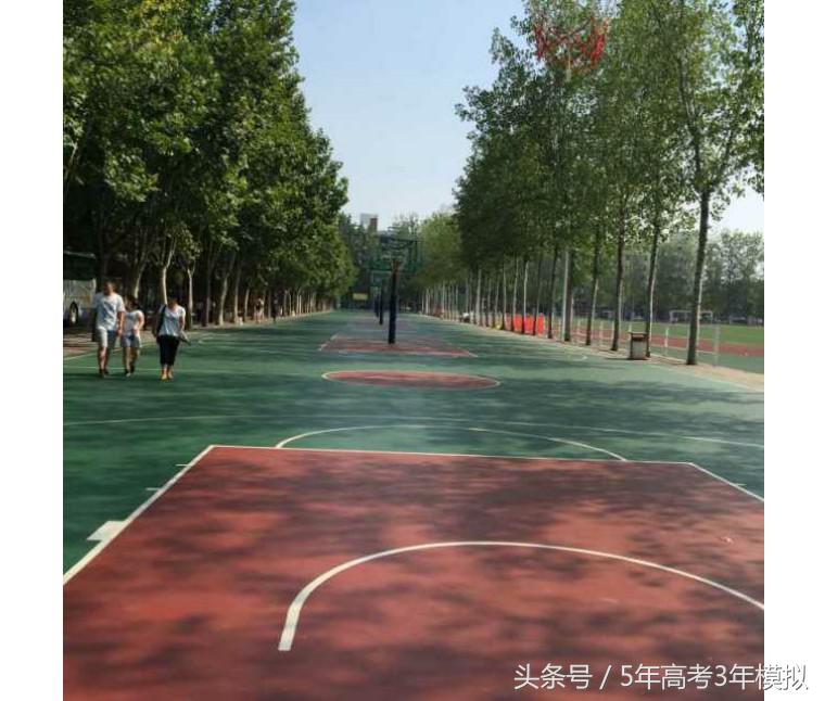 真实的郑州外国语学校,郑州外国语学校2019