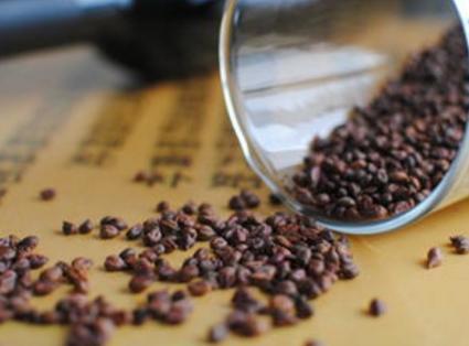 被捧上天的十三种食品,这些东西很难吃却被捧上天