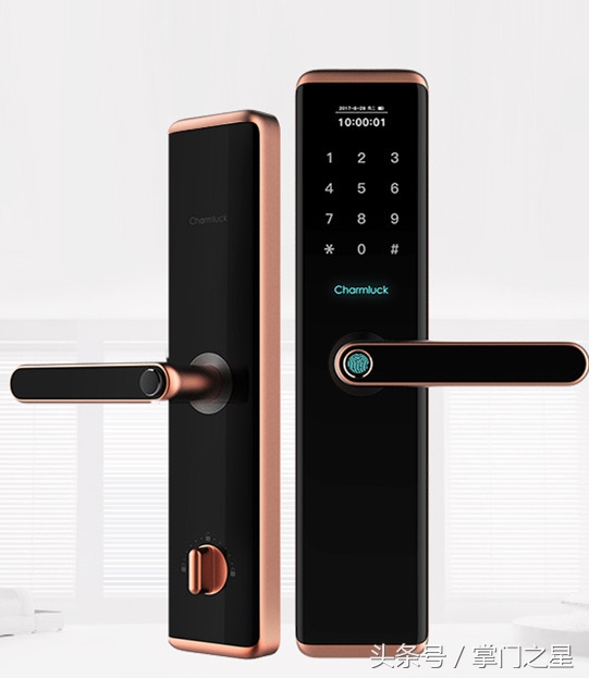 智能锁选指纹好还是人脸识别好,指纹识别最好的锁