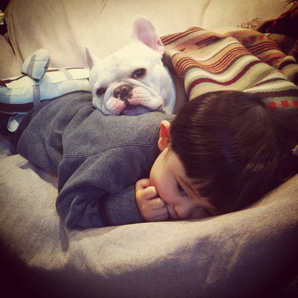 狗狗感冒可以吃速效感冒胶囊吗,狗狗感冒可以吃感冒冲剂吗