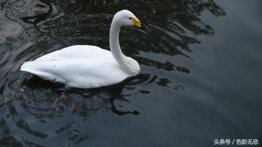 索尼fdr-ax700摄像机测评,索尼fdr-ax700和ax60评测