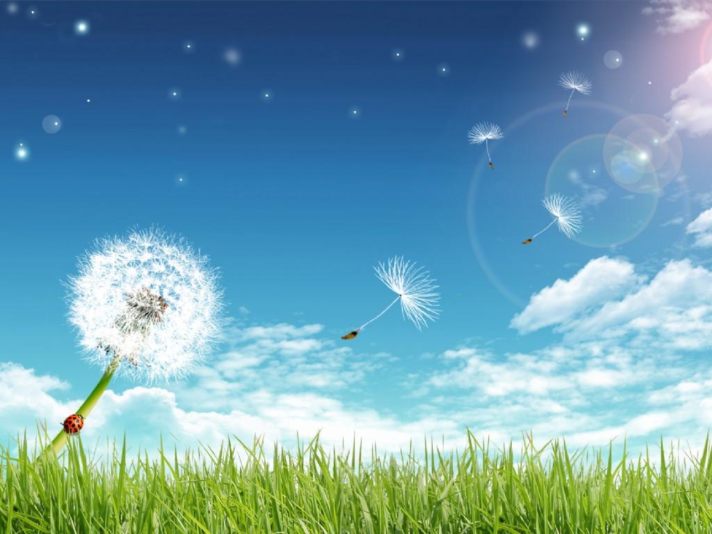 在那坚强的身躯背后，经历过怎样的磨难