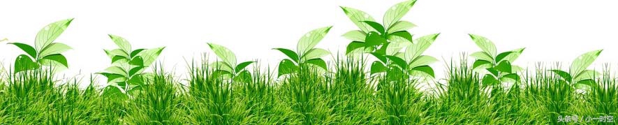 血友病基因治疗一期成功了几个人,最新基因治疗根治血友病