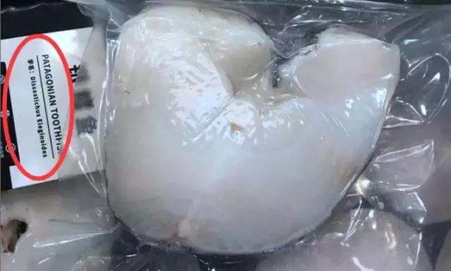 认鱼啦！为了吃垮海鲜自助餐厅，你得认识最贵的“鳕鱼”