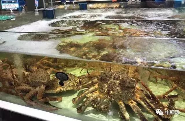 无鲜不欢，活水产优劣鉴别及收货方法汇总