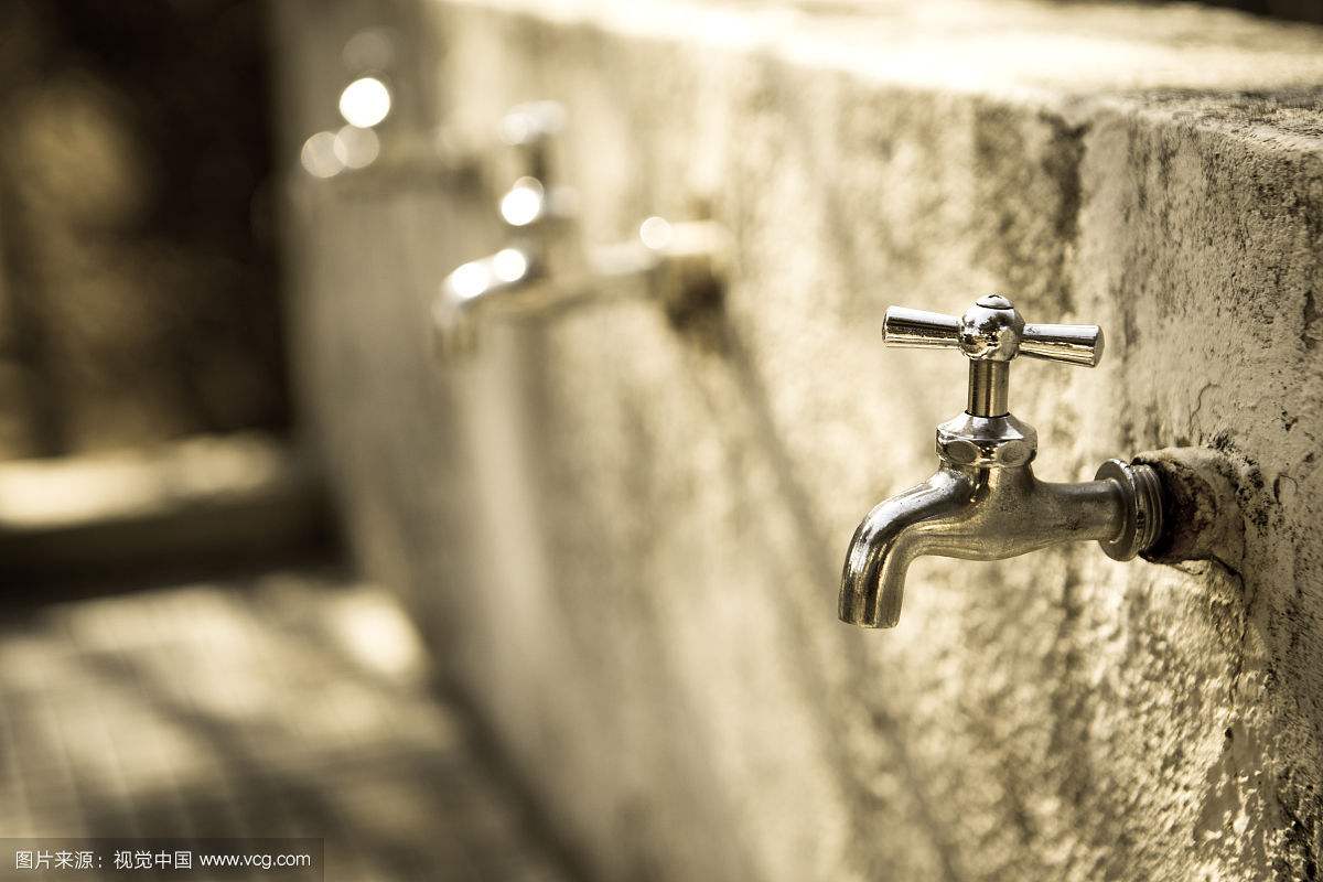 天堂鸟，很多人都以为它是不死鸟